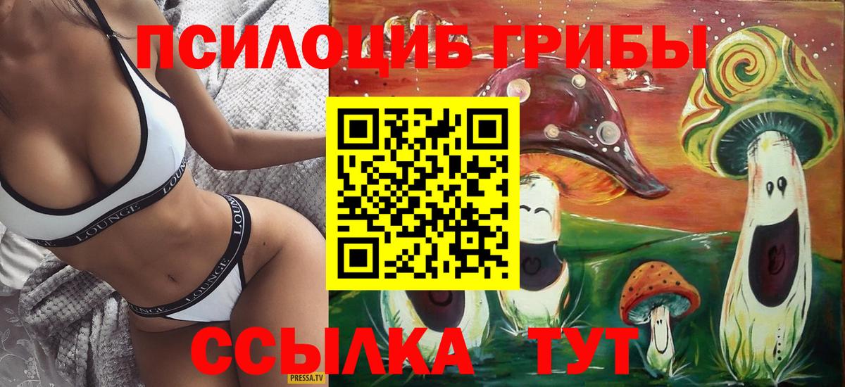 цена наркотик  Псилоцибиновые грибы прущие грибы  Вход с VPN  Сургут 